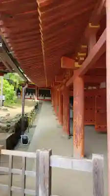 春日大社の{uncategorized: "未分類", other: "その他", undefined: "問題あり", building: "その他建物", grave: "お墓", sacred_gate: "鳥居", guardian: "狛犬", statue: "像", buddha: "仏像", history: "歴史", nature: "自然", garden: "庭園", animal: "動物", pagoda: "塔", temizu: "手水舎", mountain_gate: "山門・神門", sanctuary: "本殿・本堂", subordinate: "末社・摂社", art: "芸術", scenery: "景色", jizo: "地蔵", ema: "絵馬", goshuin: "御朱印", omikuji: "おみくじ", items: "授与品その他", amulet: "お守り", goshuincho: "御朱印帳", eats: "食事", festival: "お祭り", votive_dance: "神楽", shichigosan: "七五三参", wedding: "結婚式", experience: "体験その他", initially: "初詣", around: "周辺", anti_infection: "感染症対策"}