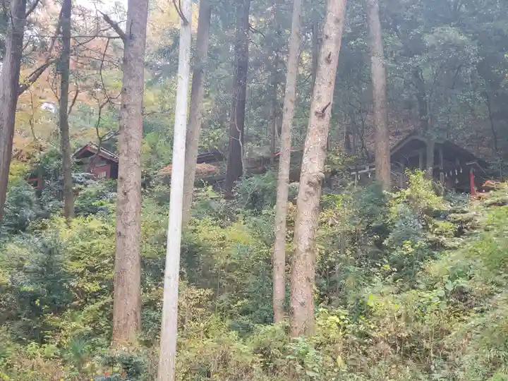 菅東山出世稲荷神社の周辺