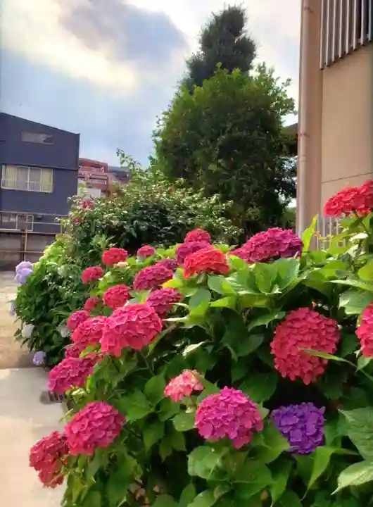 福王山 慈眼寺の自然