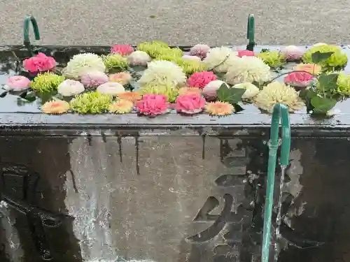 箭弓稲荷神社の{uncategorized: "未分類", other: "その他", undefined: "問題あり", building: "その他建物", grave: "お墓", sacred_gate: "鳥居", guardian: "狛犬", statue: "像", buddha: "仏像", history: "歴史", nature: "自然", garden: "庭園", animal: "動物", pagoda: "塔", temizu: "手水舎", mountain_gate: "山門・神門", sanctuary: "本殿・本堂", subordinate: "末社・摂社", art: "芸術", scenery: "景色", jizo: "地蔵", ema: "絵馬", goshuin: "御朱印", omikuji: "おみくじ", items: "授与品その他", amulet: "お守り", goshuincho: "御朱印帳", eats: "食事", festival: "お祭り", votive_dance: "神楽", shichigosan: "七五三参", wedding: "結婚式", experience: "体験その他", initially: "初詣", around: "周辺", anti_infection: "感染症対策"}
