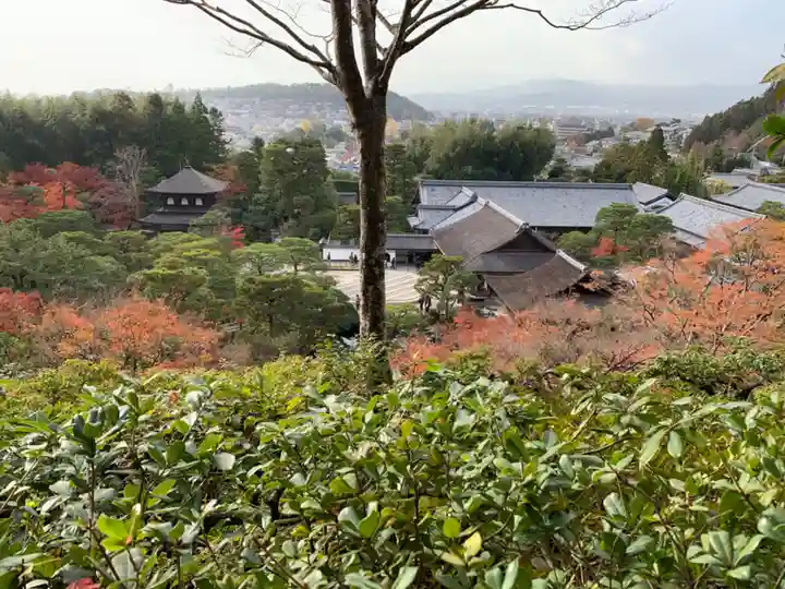 慈照寺(慈照禅寺・銀閣寺)の景色