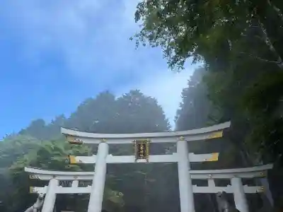 三峯神社(埼玉県)