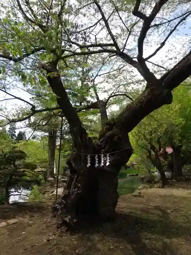 松尾院(山形県)