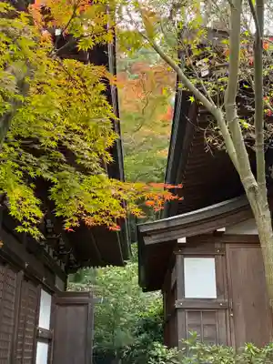 高幡不動尊　金剛寺(東京都)