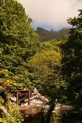 戸隠神社奥社(長野県)