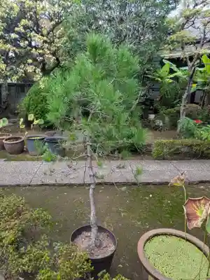 本妙院(東京都)