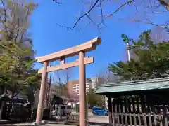 琴似神社の鳥居