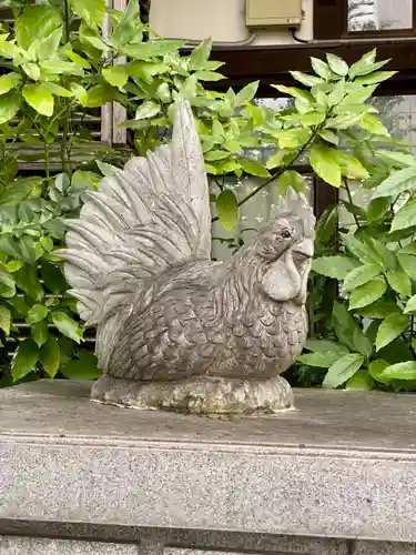 高知大神宮の狛犬