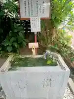 猿田彦神社の手水舎