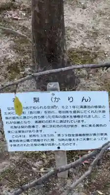 東寺（教王護国寺）(京都府)