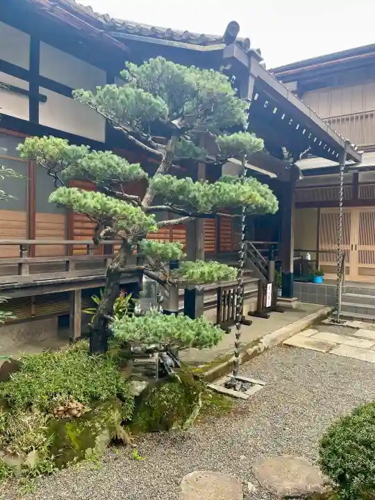 積徳寺の{uncategorized: "未分類", other: "その他", undefined: "問題あり", building: "その他建物", grave: "お墓", sacred_gate: "鳥居", guardian: "狛犬", statue: "像", buddha: "仏像", history: "歴史", nature: "自然", garden: "庭園", animal: "動物", pagoda: "塔", temizu: "手水舎", mountain_gate: "山門・神門", sanctuary: "本殿・本堂", subordinate: "末社・摂社", art: "芸術", scenery: "景色", jizo: "地蔵", ema: "絵馬", goshuin: "御朱印", omikuji: "おみくじ", items: "授与品その他", amulet: "お守り", goshuincho: "御朱印帳", eats: "食事", festival: "お祭り", votive_dance: "神楽", shichigosan: "七五三参", wedding: "結婚式", experience: "体験その他", initially: "初詣", around: "周辺", anti_infection: "感染症対策"}