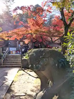 高幡不動尊　金剛寺(東京都)
