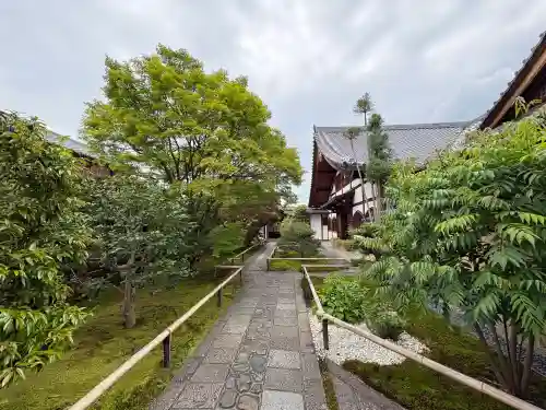 興臨院の{uncategorized: "未分類", other: "その他", undefined: "問題あり", building: "その他建物", grave: "お墓", sacred_gate: "鳥居", guardian: "狛犬", statue: "像", buddha: "仏像", history: "歴史", nature: "自然", garden: "庭園", animal: "動物", pagoda: "塔", temizu: "手水舎", mountain_gate: "山門・神門", sanctuary: "本殿・本堂", subordinate: "末社・摂社", art: "芸術", scenery: "景色", jizo: "地蔵", ema: "絵馬", goshuin: "御朱印", omikuji: "おみくじ", items: "授与品その他", amulet: "お守り", goshuincho: "御朱印帳", eats: "食事", festival: "お祭り", votive_dance: "神楽", shichigosan: "七五三参", wedding: "結婚式", experience: "体験その他", initially: "初詣", around: "周辺", anti_infection: "感染症対策"}