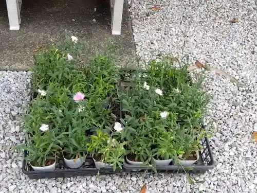 不動寺(埼玉県)