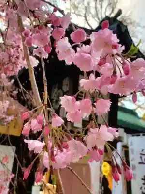 大宮八幡宮(東京都)