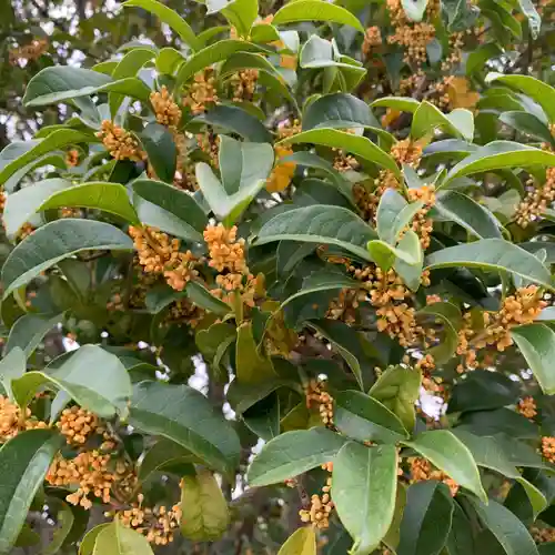 豊景神社の自然