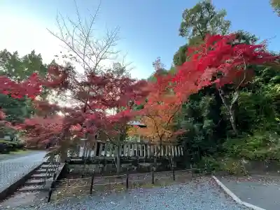 光明寺（粟生光明寺）(京都府)