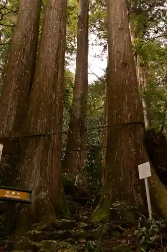 横倉宮(高知県)
