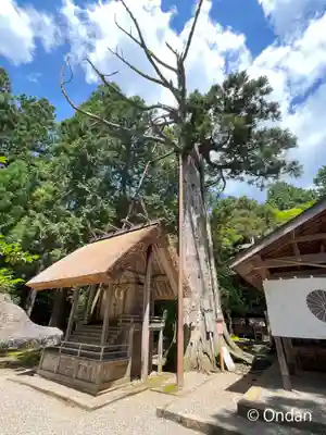 元伊勢内宮 皇大神社(京都府)