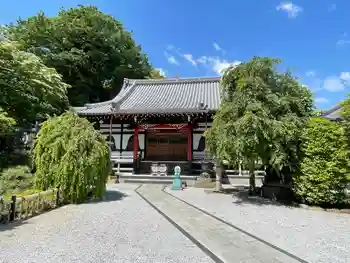 本長寺の御朱印 2026年05月