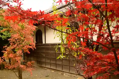 寛永寺(根本中堂)の自然