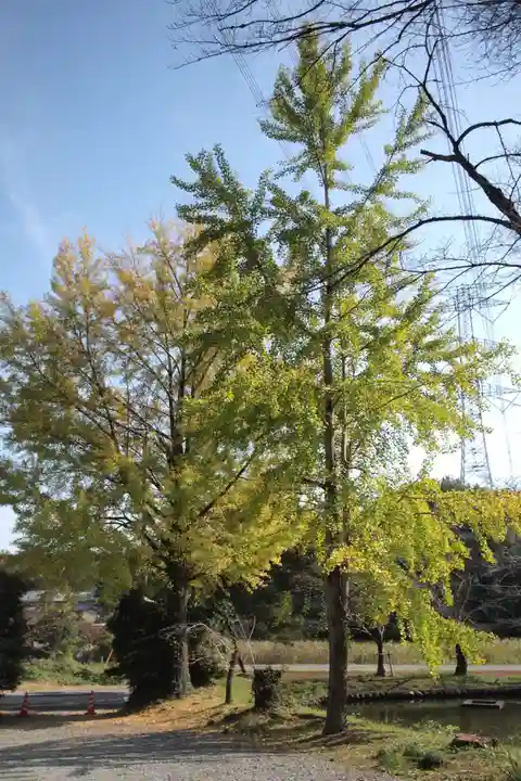 興長禅寺の景色