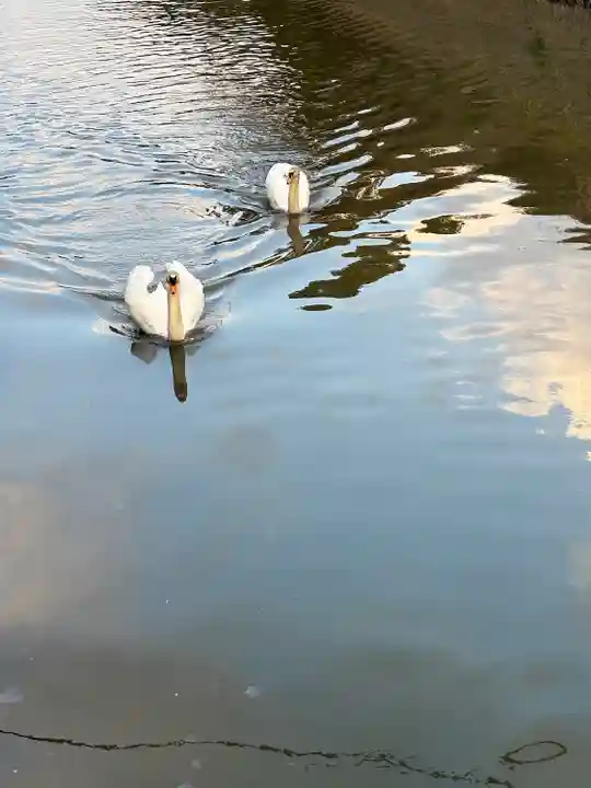八大荒神社(島根県)