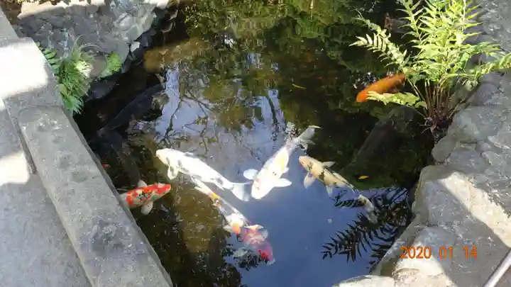 天祖諏訪神社のその他建物
