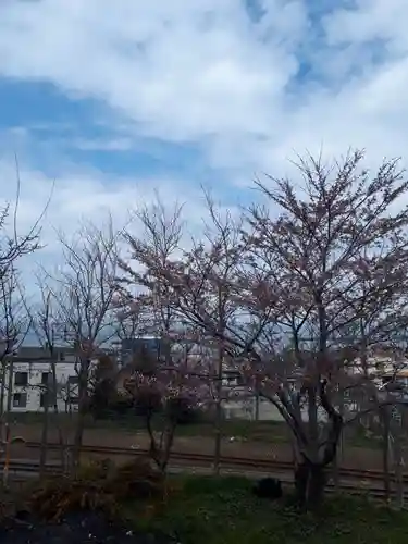 豊足神社の景色