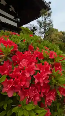 誉田八幡宮(大阪府)