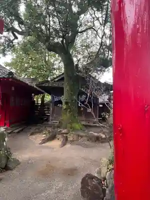 青井阿蘇神社(熊本県)
