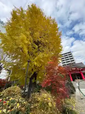 成子天神社(東京都)
