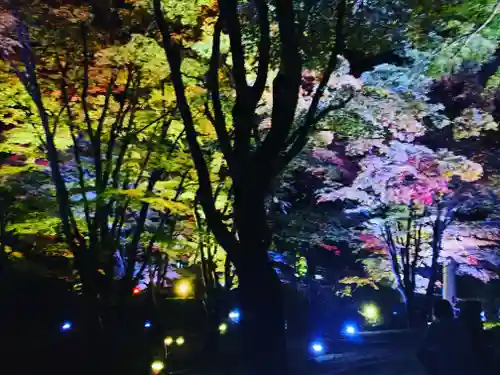 土津神社｜こどもと出世の神さまの景色