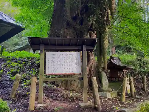 由豆佐賣神社の歴史