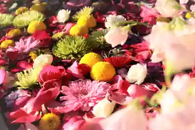 三津厳島神社(愛媛県)