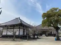 教信寺の建物その他