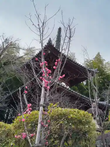 狭山山不動寺の庭園