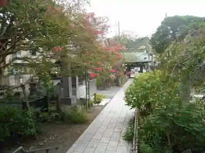 妙隆寺のその他建物