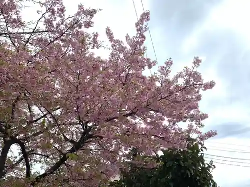 櫻木神社の自然