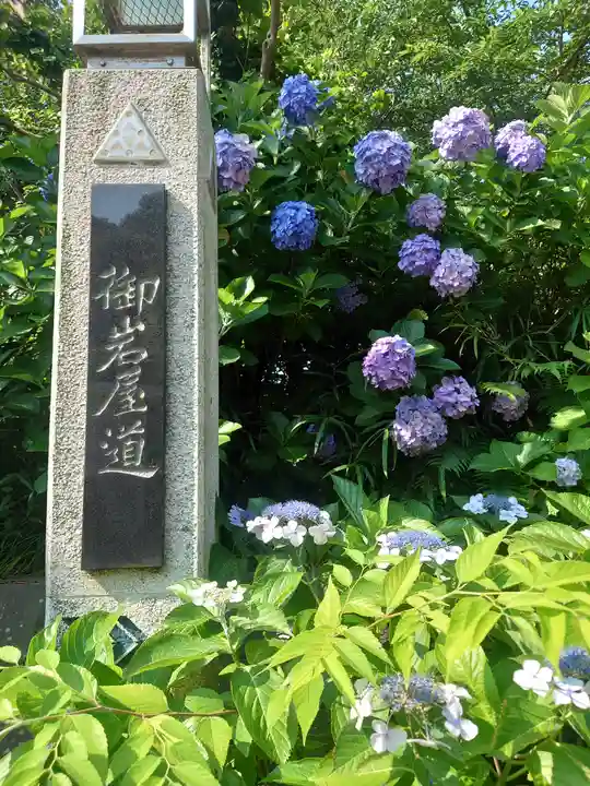 江島神社の自然