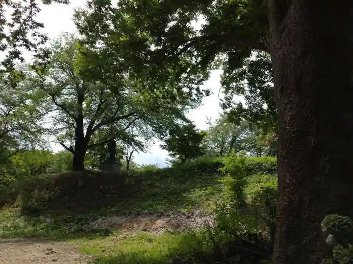 安禅寺(新潟県)