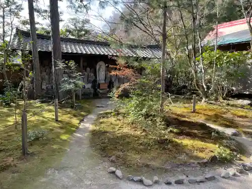 蓮華寺（洛北蓮華寺）の庭園