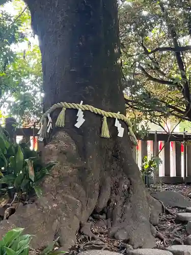 川越氷川神社(埼玉県)
