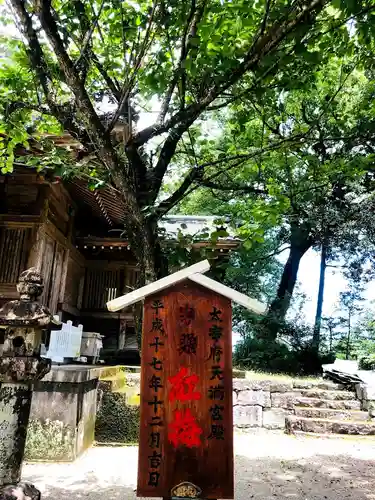 舞鶴神社(宮崎県)