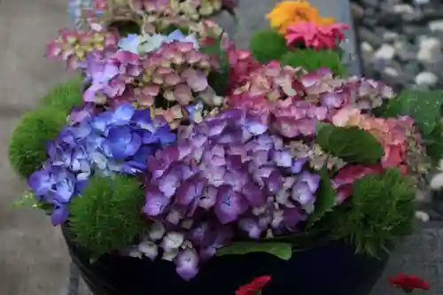 豊景神社の手水