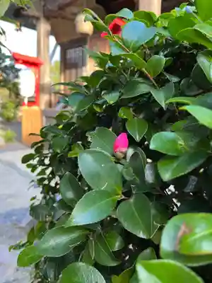 大鏑神社(福島県)