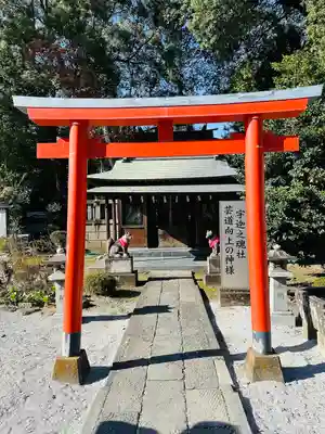 箭弓稲荷神社(埼玉県)