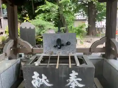 澤蔵司稲荷（慈眼院）の手水舎