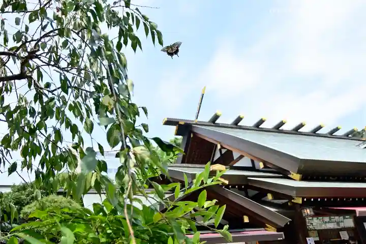 東京大神宮のその他建物