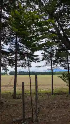 出雲神社の自然